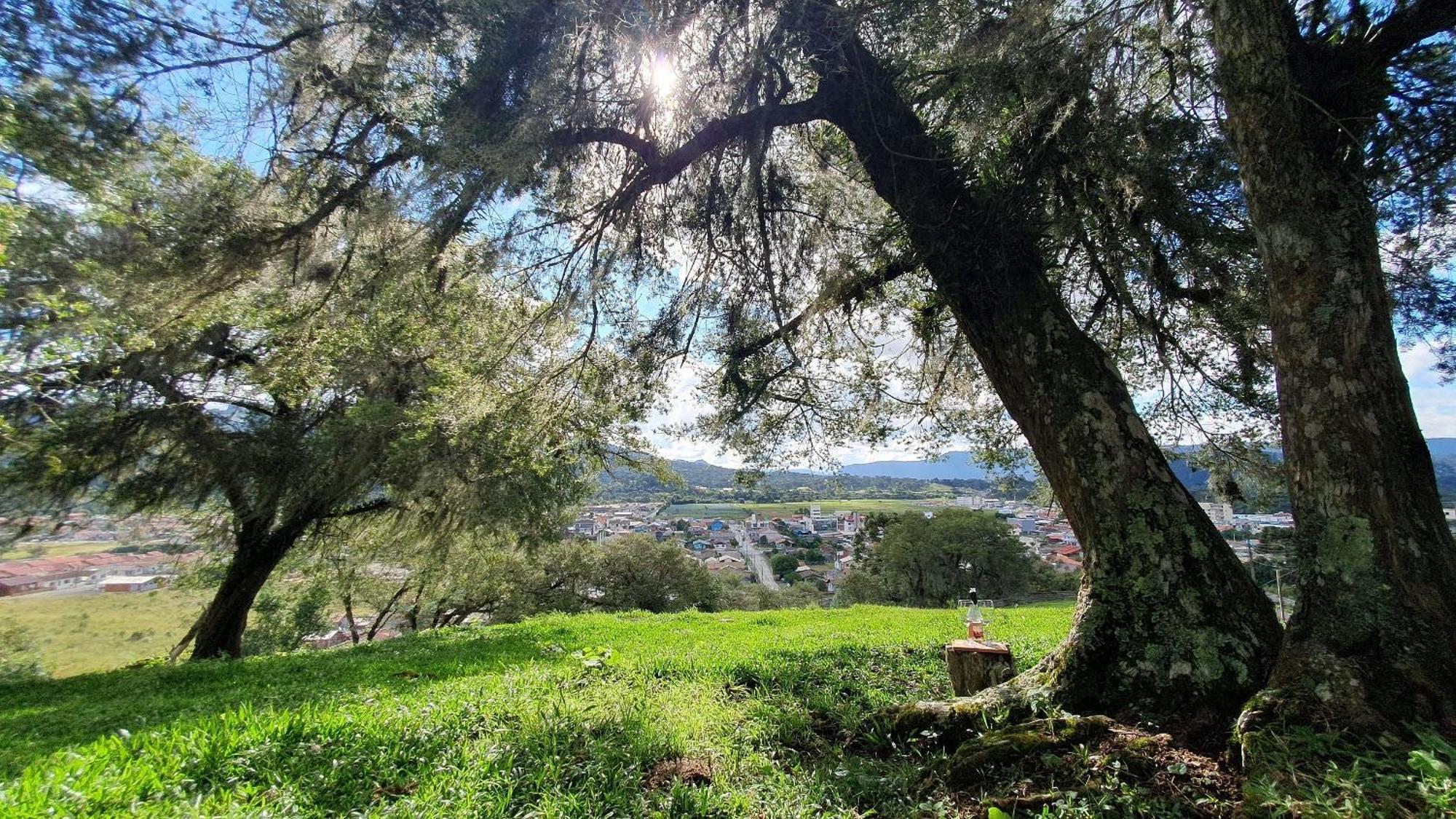Cabana Canto Lindo - Urubici-Sc Dış mekan fotoğraf