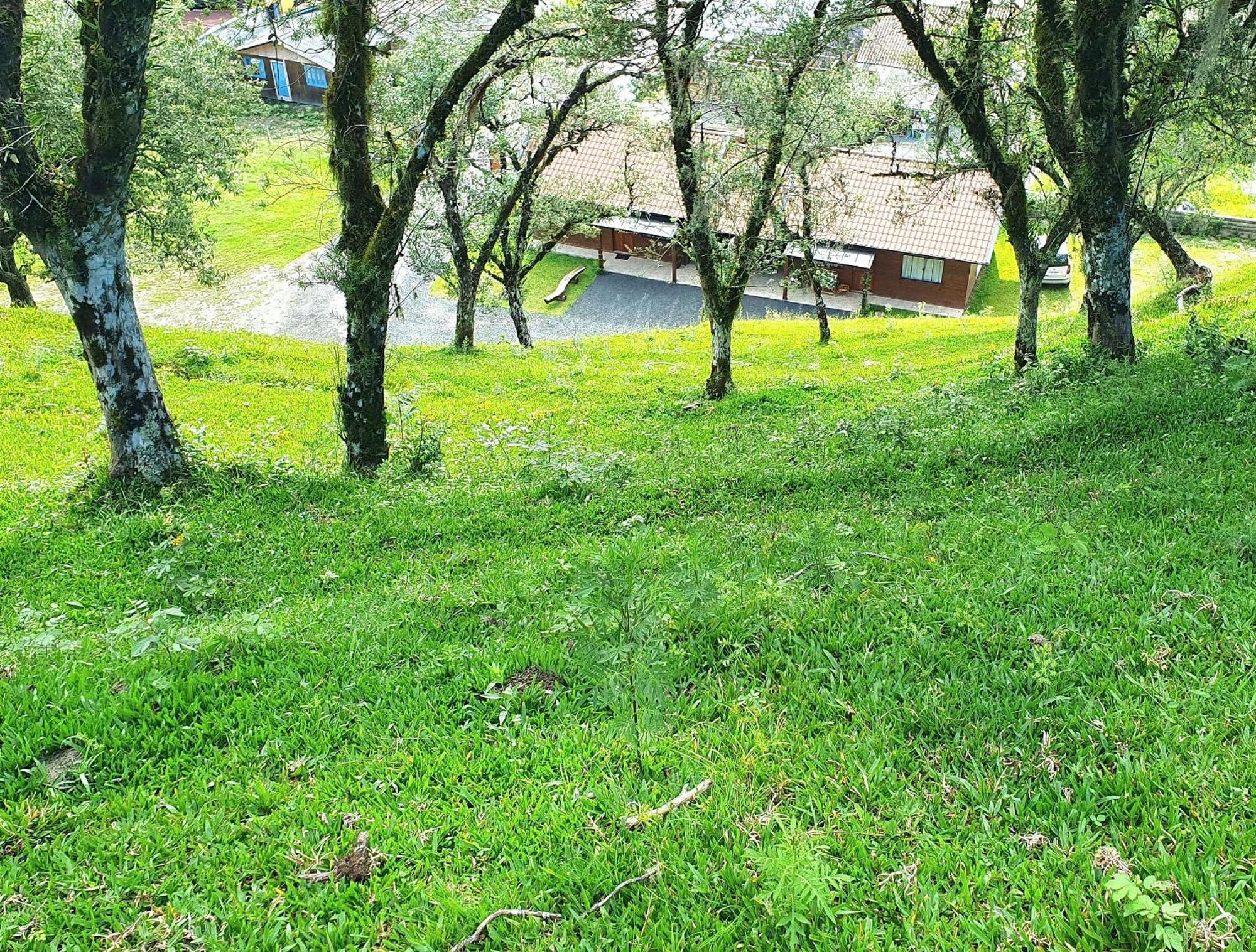 Cabana Canto Lindo - Urubici-Sc Dış mekan fotoğraf